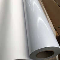 Pvc Self Adhesive Label - 0.02-0.08mm Thickness | Customizable Color & Shape, Durable Pvc Material, Strong Adhesive Backing