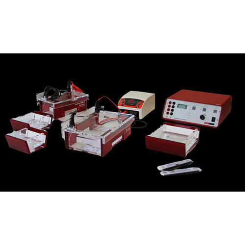 Agarose Electrphoresis