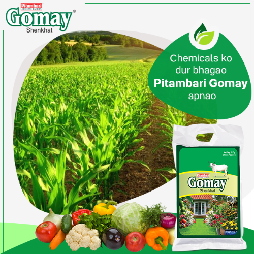 Pitambari Gomay Organic Manure 5kg