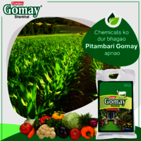 Pitambari Gomay Organic Manure 5kg