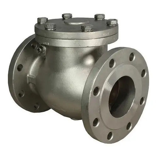 Industrial Check Valve - Port Size: Customized