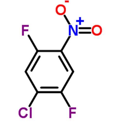 1-Chloro-2 5-difluoro-4-nitrobenzene CAS:578-28-9