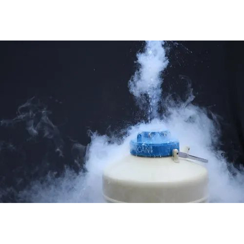 Liquid Nitrogen Tank