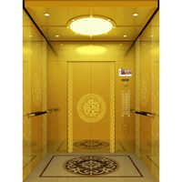 Gold Finish Passenger Elevator