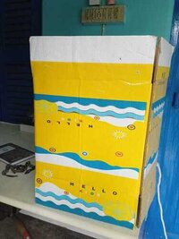Printed Carton Box - Color: Any