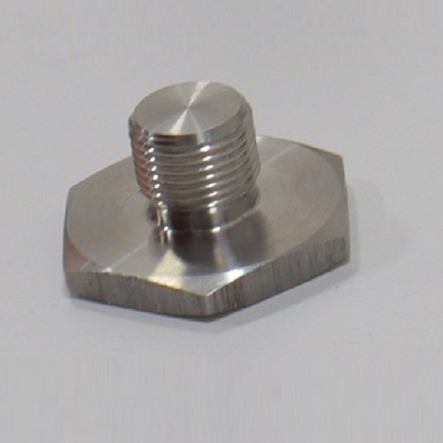 Screw Plug with Large Head