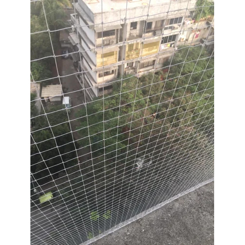 Residential Anti Bird Netting Service