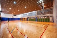 Volleyball Court Flooring - Maple Or Teak Wood, 1 X 1 Sqft Tiles, Green/red/blue | Premium 21 Mm Thickness, Alluring Satin Finish, Rubber Or Pvc Material