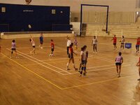 Indoor Volleyball Court Flooring - Rubber Pu/pvc Material, 1x1 Sqft Size, 21mm Thickness | Available In Green, Red, Blue With Satin Surface Treatment And Stylish Maple Or Teak Finishes