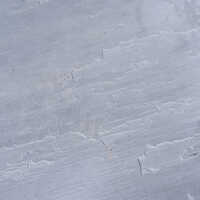 Kandla Grey Sandstone