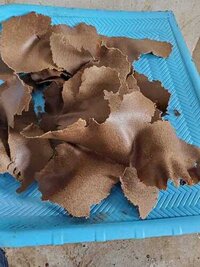 Groundnut Oil Cake