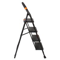 4 Step Iron Ladder