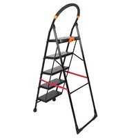 5 Step Iron Ladder