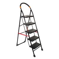 5 Step Iron Ladder