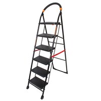 6 Step Iron Ladder