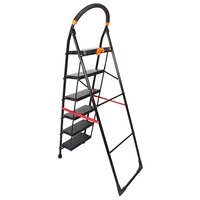 6 Step Iron Ladder