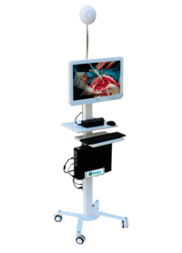 Portable Endoscopic Trolley