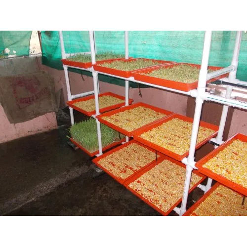 Hydroponic Fodder Machine