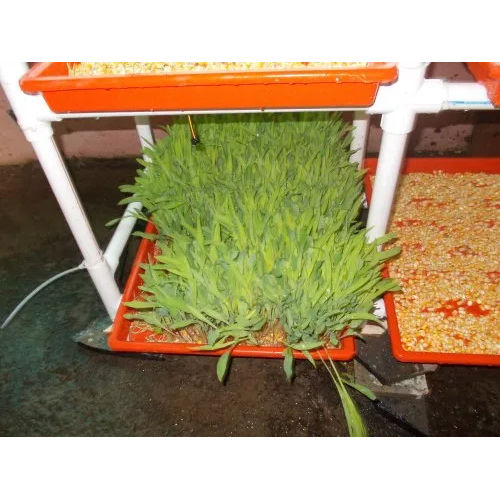 Plastic Coated Hydroponic Farming - 8 Tray Setup