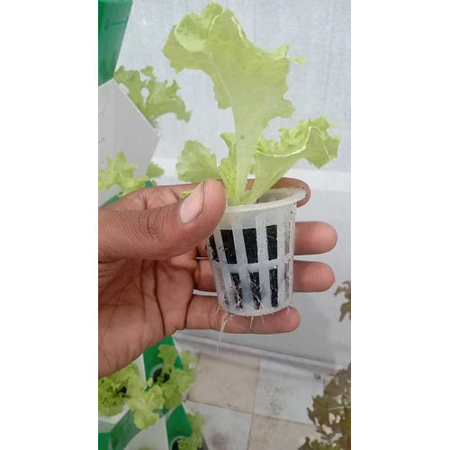 Black & White Plastics Hydroponic Innovative Verticl Aeroponics Tower