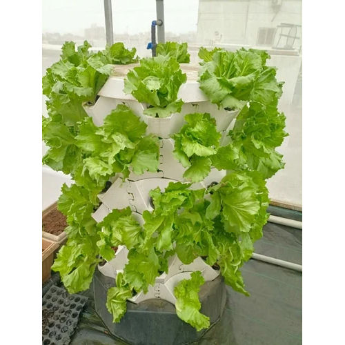 Aeroponics Tower Garden