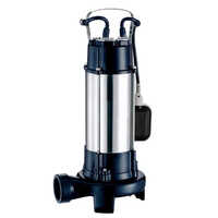 Kirloskar Eterna BW Submersible Pump
