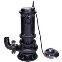 Kirloskar Eterna CW Water Pump