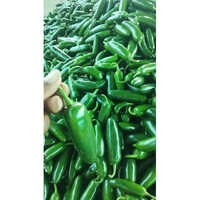 Jalapeno Peppers