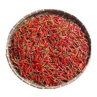 Thai Bird Eye Chilli Moisture (%): Nil