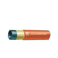Steam Hose