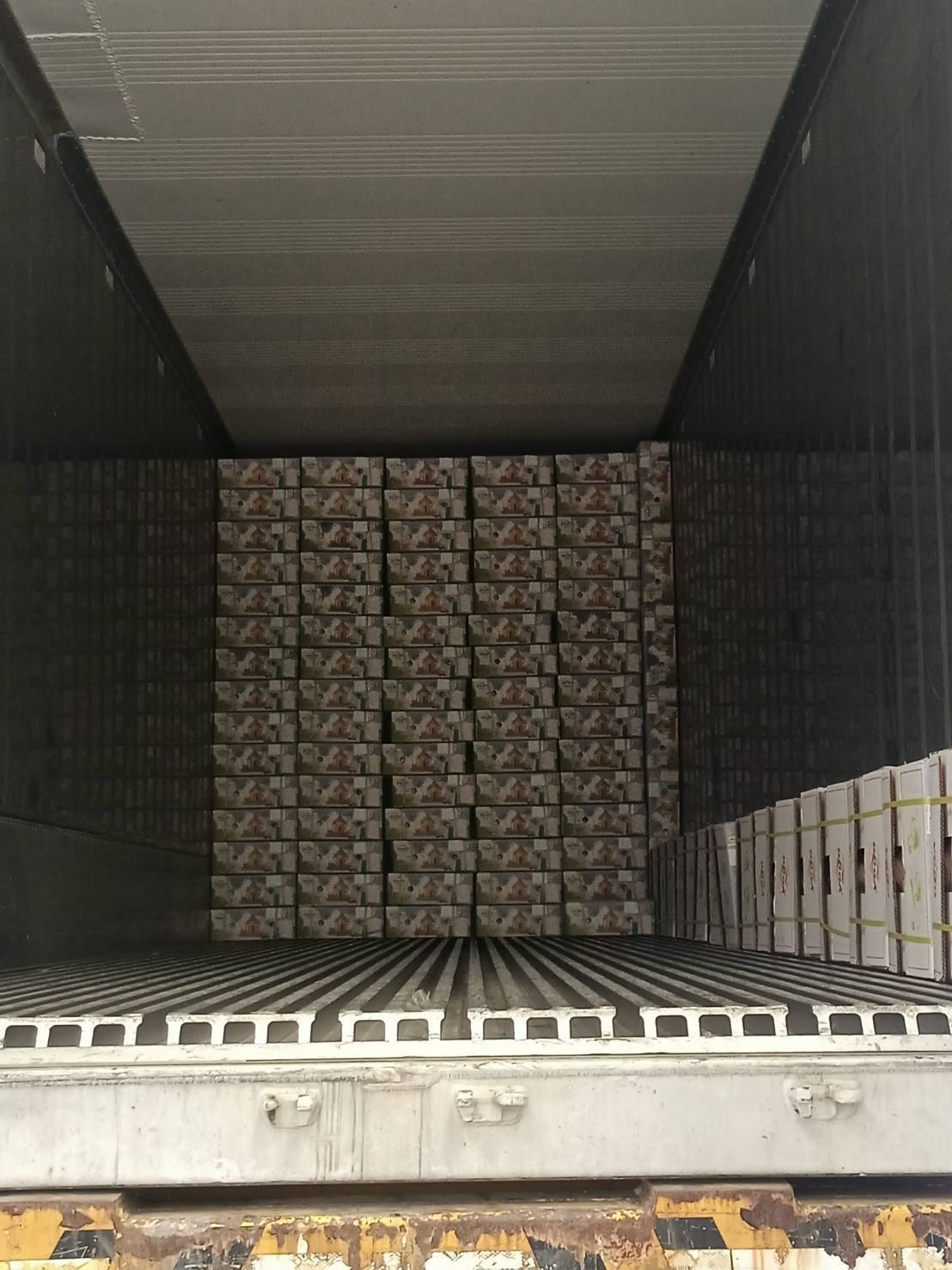 Fresh Coconut / Young Coconut