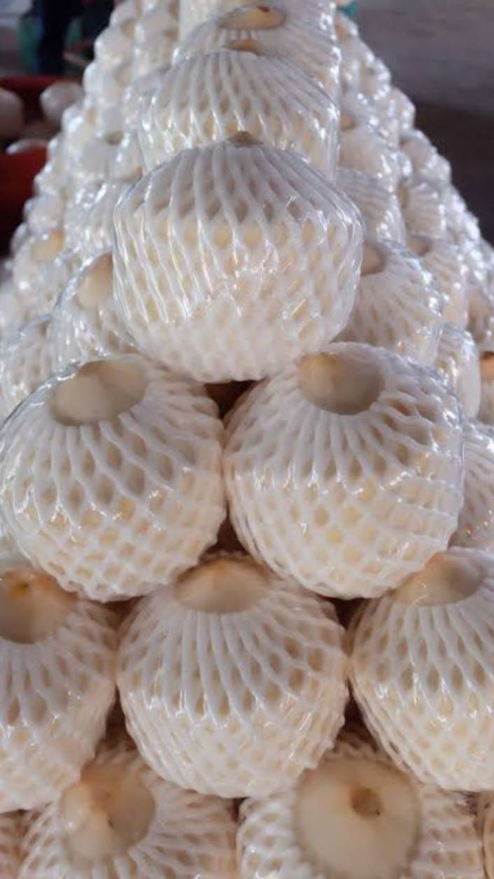 Fresh Coconut / Young Coconut