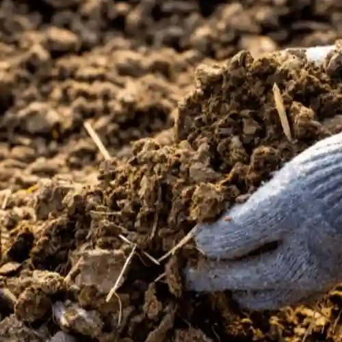 Bio Organic Manure - Physical State: Granular