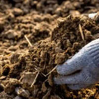 Bio Organic Manure