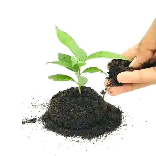 Organic Manure