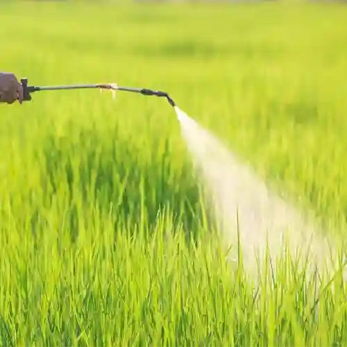 Eco Friendly Agriculture Pesticides Application: Agrochemical