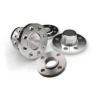 Super Duplex Steel Flanges - Color: Sliver