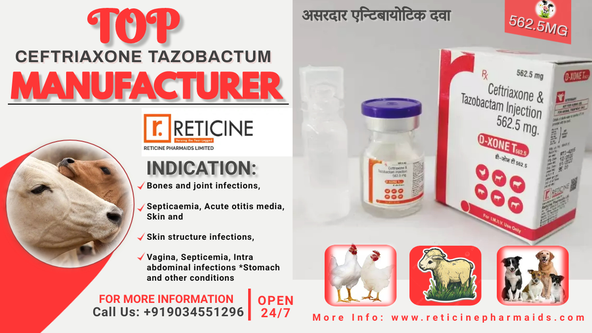 PET PRODUCTS MANUFACTURER IN KERALA