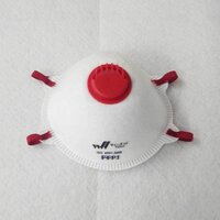 Respiratory Face Mask with valve