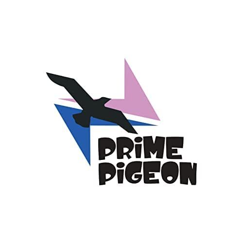 Prime pigeon swing chair