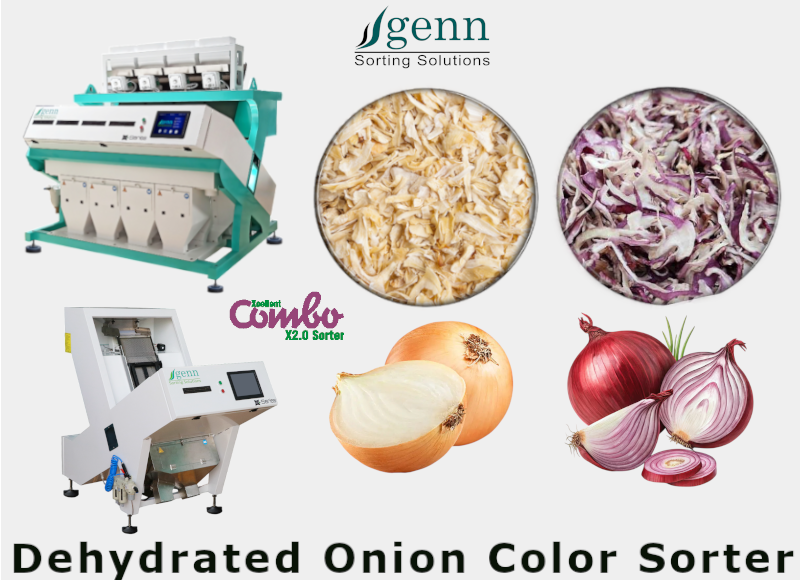 Dehydrated Onion Color Sorter Machine - 64 Channels, >99% Accuracy , 7 Air Pressure, 220 Power, 5 HP Air Compressor, 1 to 10 Capacity, Industrial Application