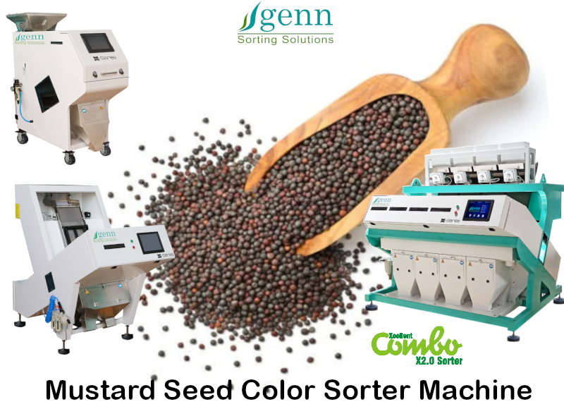Mustard Seeds Color Sorter