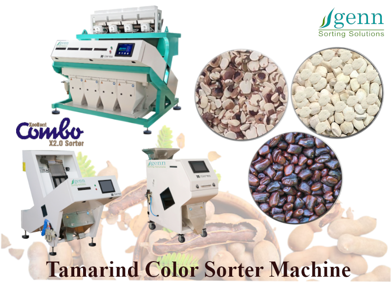 Tamarind Seed Color Sorter - Accuracy: 99.9 %