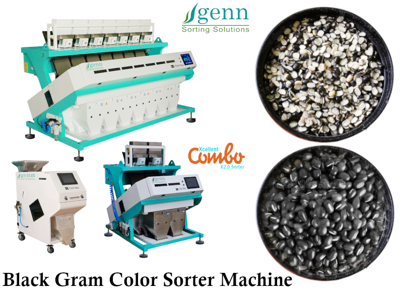 Black Gram Color Sorter - Accuracy: 99.9  %
