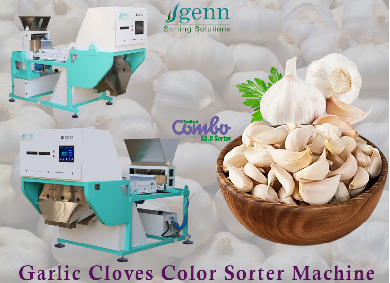 Garlic Cloves Color Sorter Machine