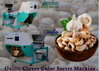 Garlic Cloves Color Sorter Machine - Accuracy: 99.9  %