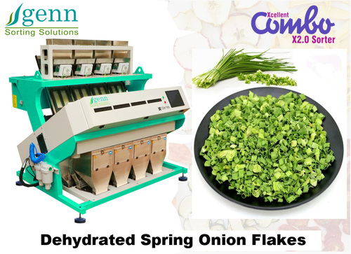 Dehydrated Spring Onion Flakes Color Sorter