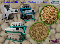 Half Cashew Color Sorter - Accuracy: 99.9  %