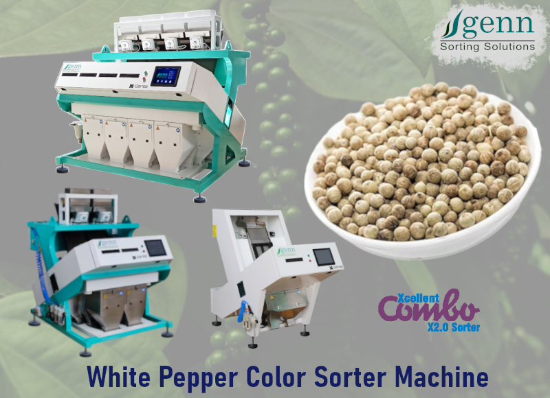 White Pepper Color Sorter