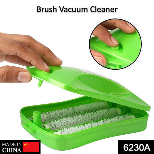 Plastic Handheld Carpet Roller Brush (6230a)